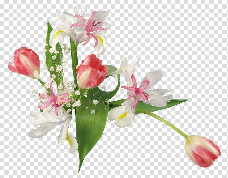 Lily Flower, Tulip, Floral Design, Flower Bouquet, Rose, Vase, Cut Flowers, Garden Roses transparent background PNG clipart