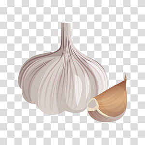 garlic plant allium onion vegetable, Food transparent background PNG clipart thumbnail