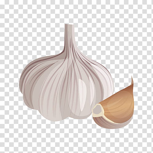 garlic plant allium onion vegetable, Food transparent background PNG clipart