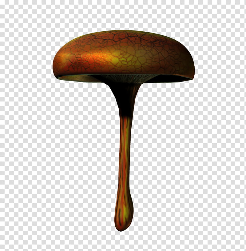 E S Mushrooms, round melting illustration transparent background PNG clipart