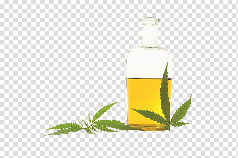 Olive Oil, Cannabidiol, Hemp Oil, Hash Oil, Tincture Of Cannabis, Medical Cannabis, Extract, Cannabis Sativa transparent background PNG clipart