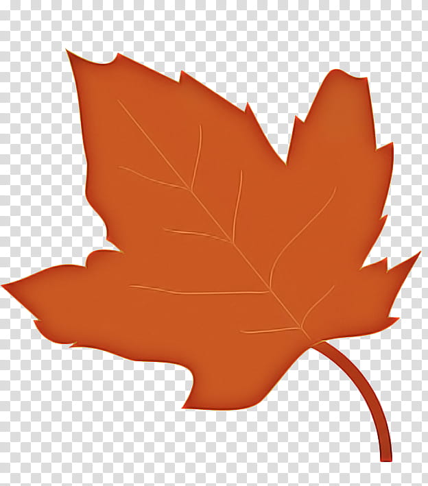 Family Tree, Autumn, Leaf, Autumn Leaf Color, Maple Leaf, Woody Plant, Black Maple, Plane transparent background PNG clipart