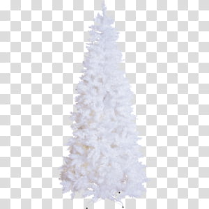 Christmas tree, White, Colorado Spruce, Christmas Decoration, Holiday Ornament, Pine, Oregon Pine, Interior Design transparent background PNG clipart thumbnail