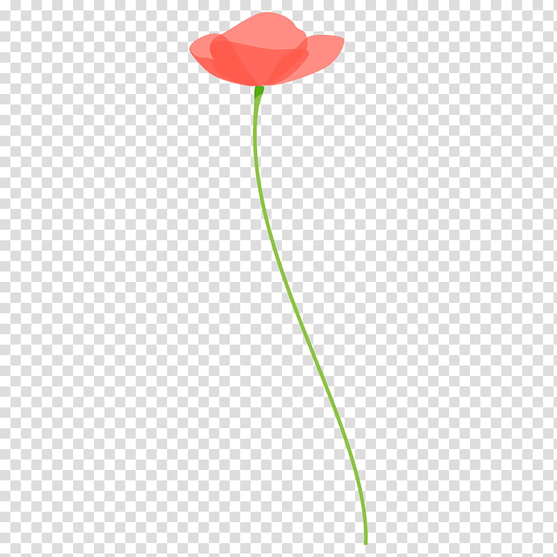 poppy flower, Plant Stem, Tulip, Leaf, Pedicel, Anthurium, Coquelicot, Petal transparent background PNG clipart