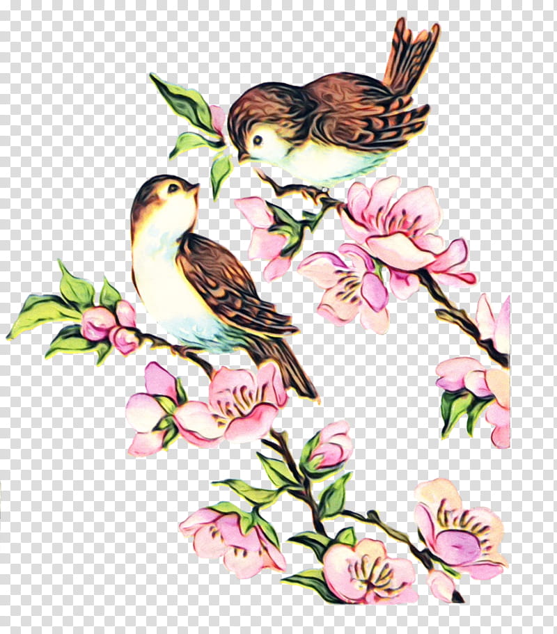 Watercolor Flower, Paint, Wet Ink, Sparrow, House Sparrow, Floral Design, Swans, Bird transparent background PNG clipart