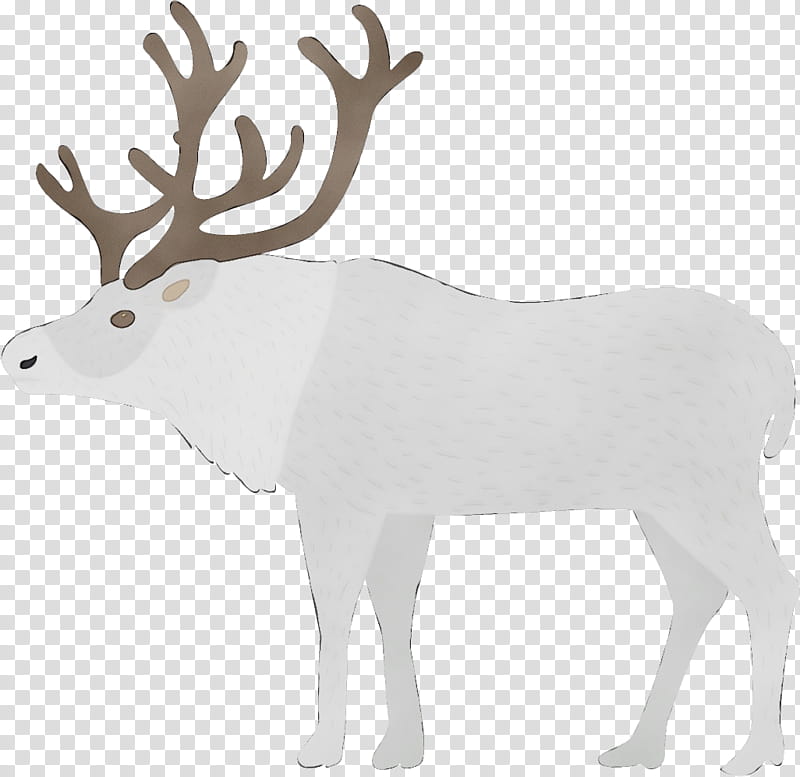 Reindeer, Watercolor, Paint, Wet Ink, Elk, White, Antler, Wildlife transparent background PNG clipart