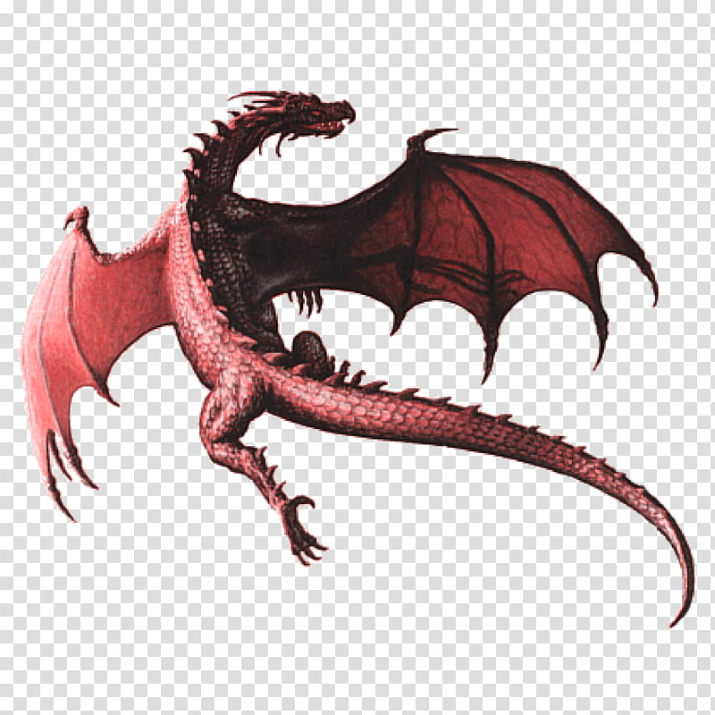 Fire Breathing Dragon, Chinese Dragon, Drawing, Fantasy, Claw, Demon, Cryptid transparent background PNG clipart