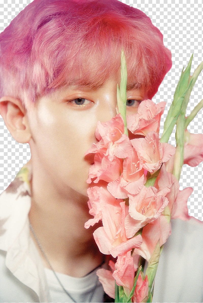 Chanyeol EXO The War Ko Ko Bop S, man in white collared top holding pink flowers transparent background PNG clipart