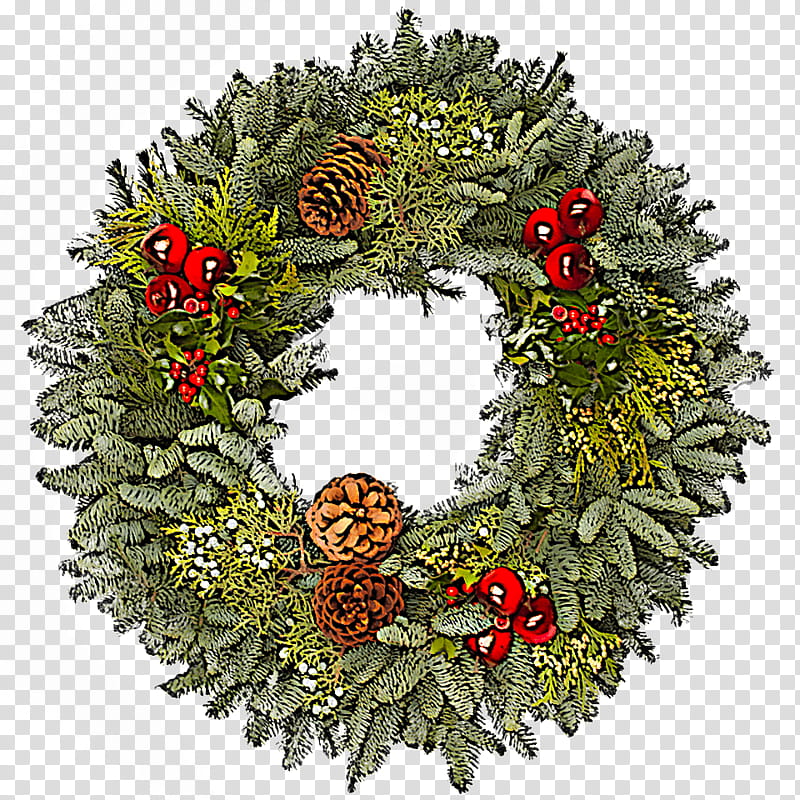 Christmas decoration, Wreath, Tree, Plant, Holly, Leaf, Pine, Conifer transparent background PNG clipart