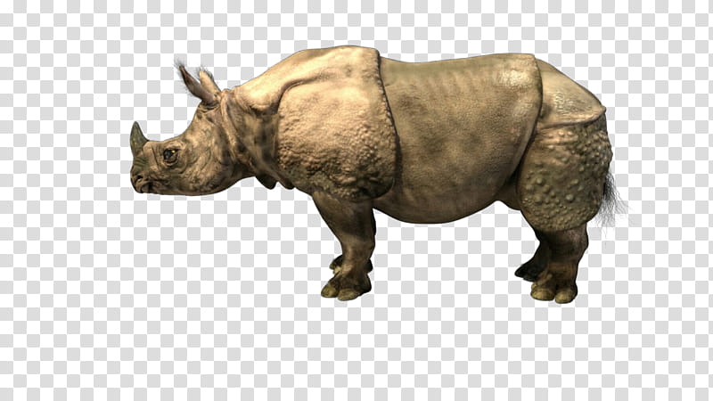 javan rhino clip art