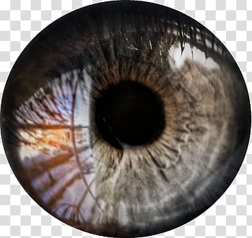 Natural Eye texture DL, black eyeball illustration transparent background PNG clipart