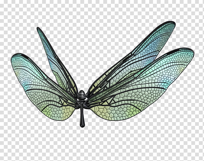 Dragonfly Wings Set  transparent background PNG clipart