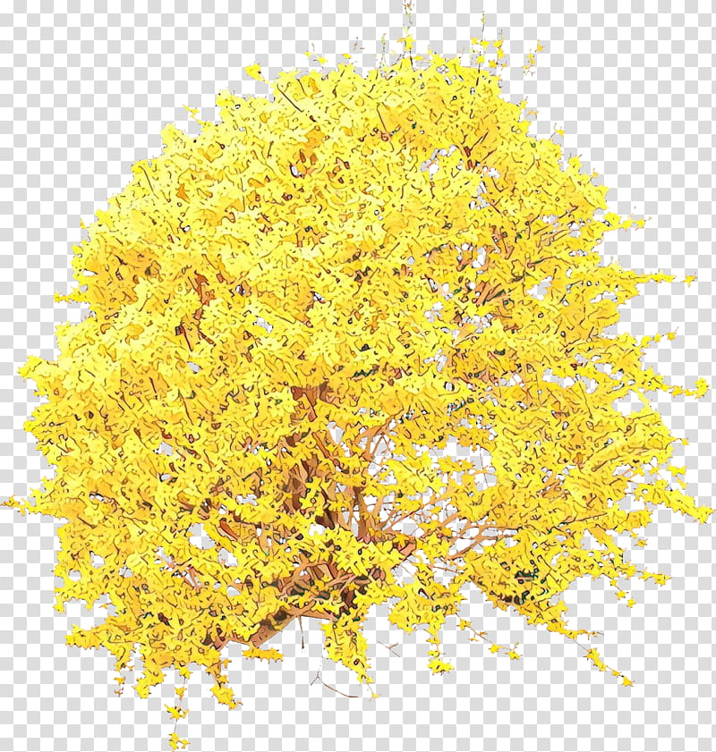 Fig Tree, Fiat, Forsythia, Shrub, Ficus Retusa, Drawing, Fig Trees, Yellow transparent background PNG clipart