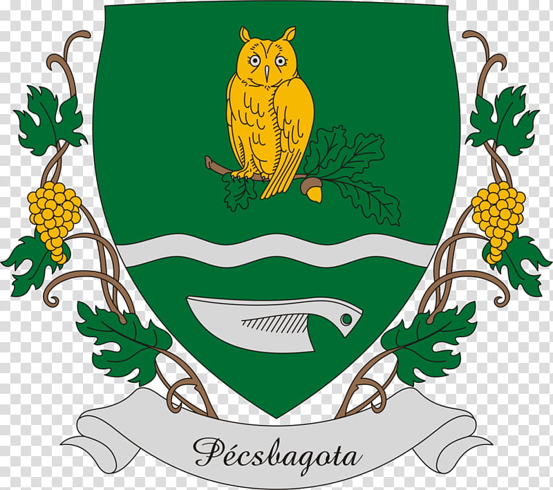 Frog, Owl, Coat Of Arms, Heraldry, Encyclopedia, July 21, Green, Tree transparent background PNG clipart