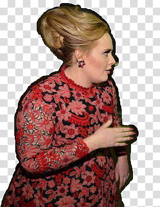 Adele  transparent background PNG clipart