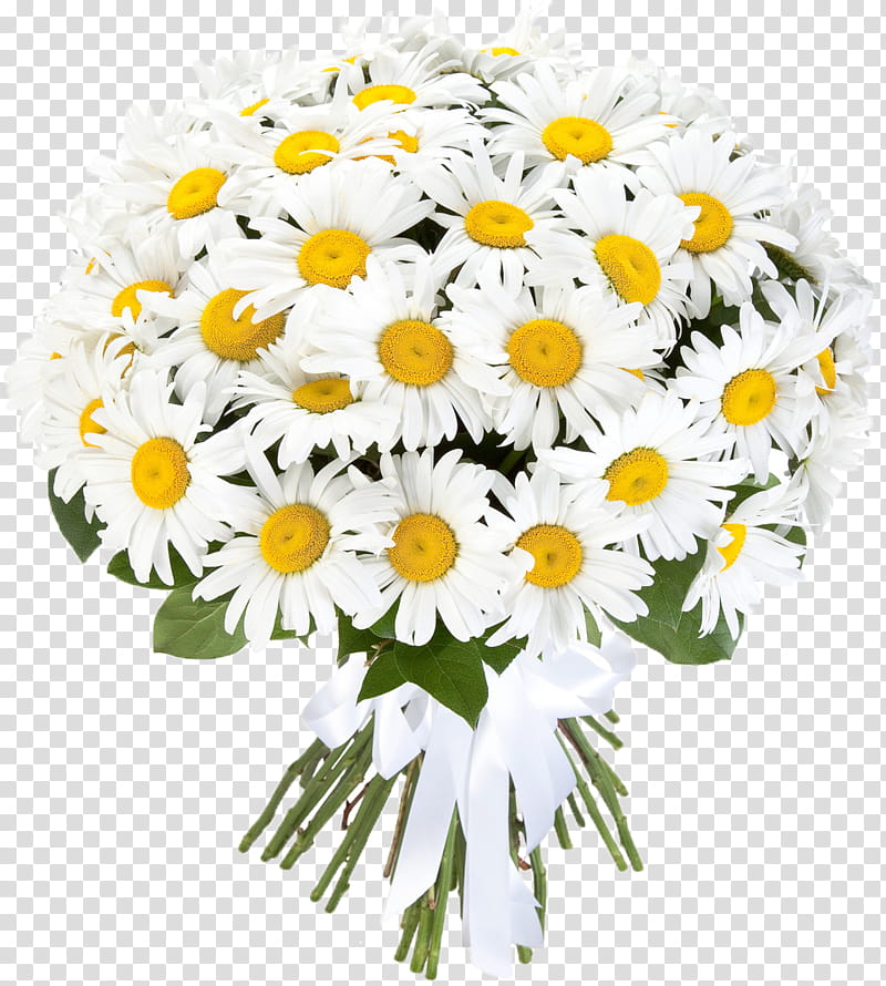Bouquet Of Flowers, Flower Bouquet, Chrysanthemum, Oxeye Daisy, Cut Flowers, Chamomile, Floral Design, Birthday transparent background PNG clipart