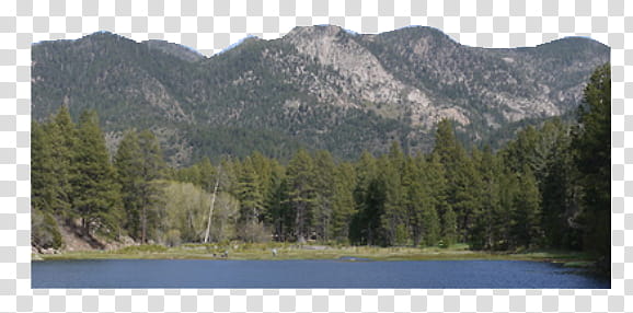 Mountains , pine trees near body of water under blue sky transparent background PNG clipart