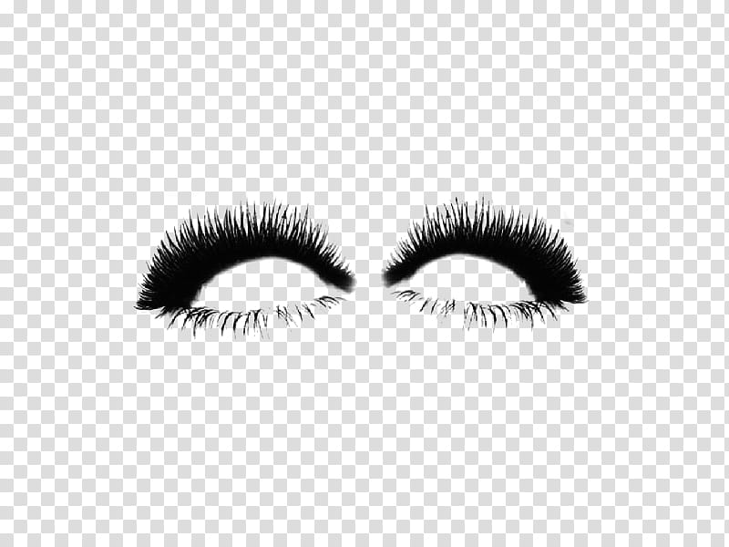 white and black eye lashes transparent background PNG clipart