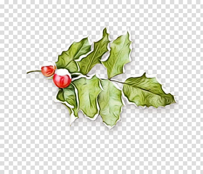 Christmas Tree Branch, Common Holly, Pomegranate, Christmas Day, Fruit, Easter Bunny, Berries, Easter transparent background PNG clipart