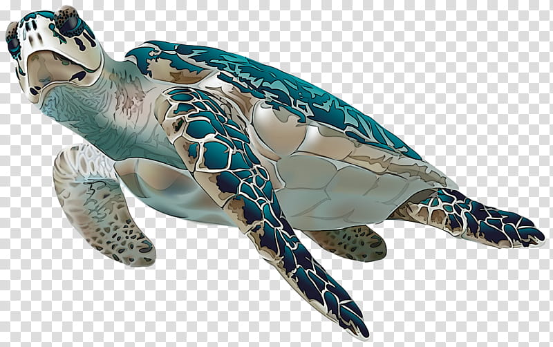 sea turtle green sea turtle turtle hawksbill sea turtle reptile, Loggerhead Sea Turtle, Animal Figure, Figurine, Tortoise, Kemps Ridley Sea Turtle, Toy transparent background PNG clipart