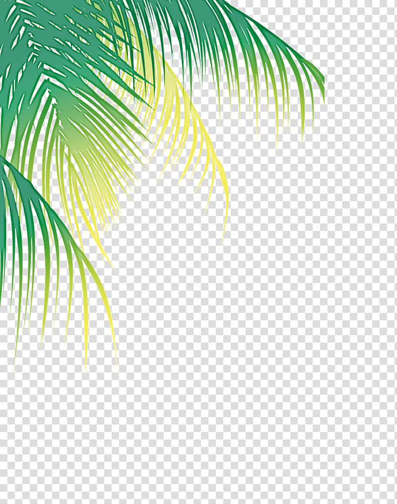 Palm tree, Green, Vegetation, Leaf, Arecales, Plant, Line, Elaeis transparent background PNG clipart