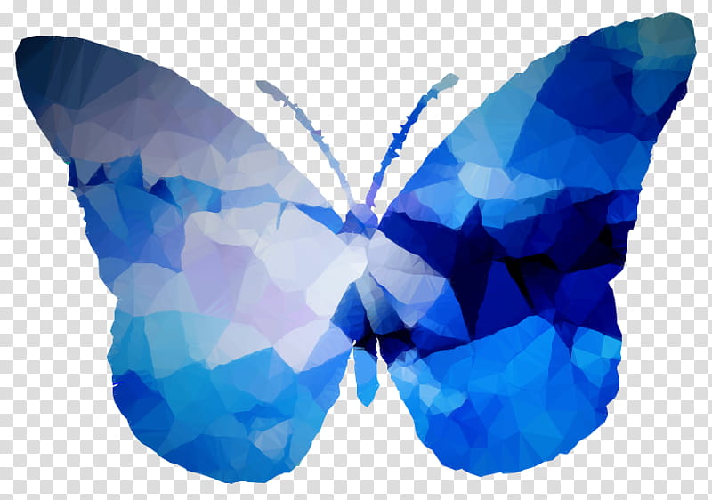 Facebook Blue, Symmetry, Laptop, M Butterfly, Metal, Printing, Polygon, Sleeve transparent background PNG clipart