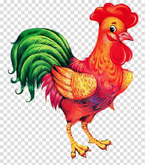 Bird, Leghorn Chicken, Rooster, Drawing, Denizli Chicken, Painting, Comb, Poultry transparent background PNG clipart