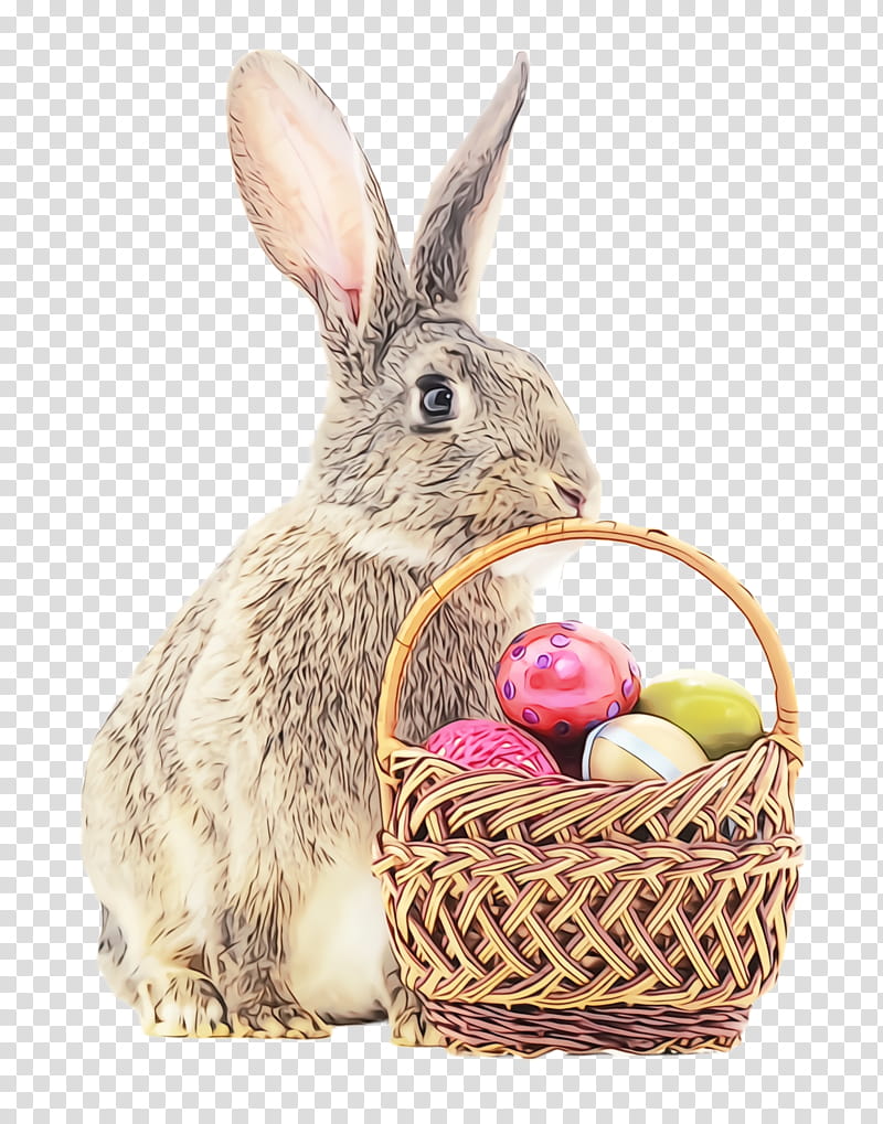 Easter egg, Watercolor, Paint, Wet Ink, Rabbit, Domestic Rabbit, Rabbits And Hares, Basket transparent background PNG clipart