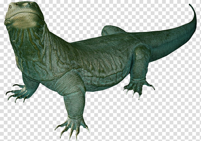 Komodo Dragon Green, green lizard illustration transparent background PNG clipart