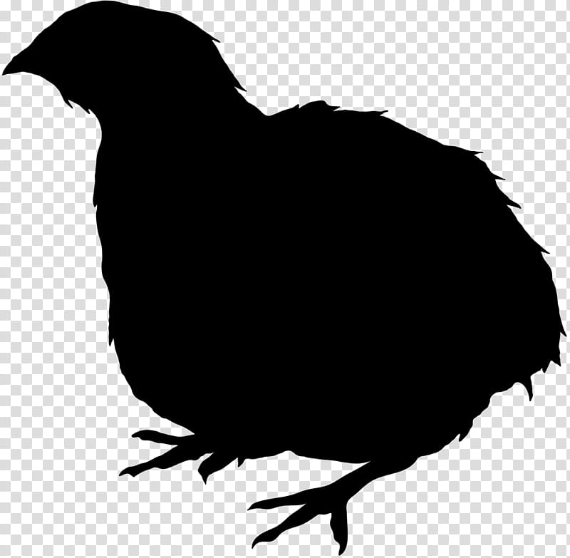 Bird Wing, Quail, Unemployment, Northern Bobwhite, Chicken, Beak, Unemployed, Blue Quail transparent background PNG clipart