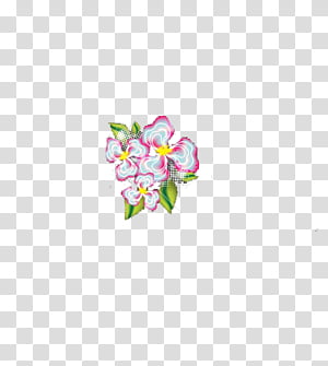 DeDecoraciones s, white-and-pink flowers illustration transparent background PNG clipart thumbnail