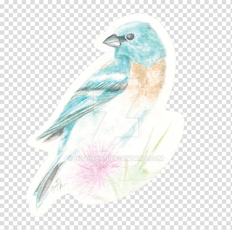 Watercolor, Watercolor Painting, Beak, Finches, Fauna, Feather, Bluebird Systems Inc, Bluebirds transparent background PNG clipart