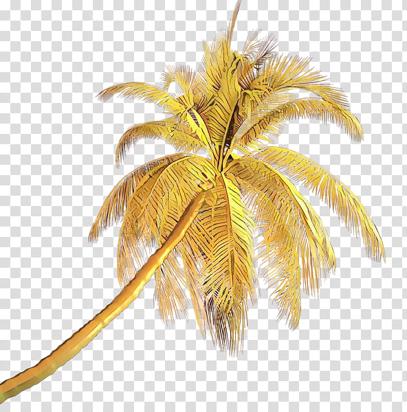 Palm tree, Cartoon, Leaf, Plant, Feather, Arecales, Fashion Accessory, Coconut transparent background PNG clipart