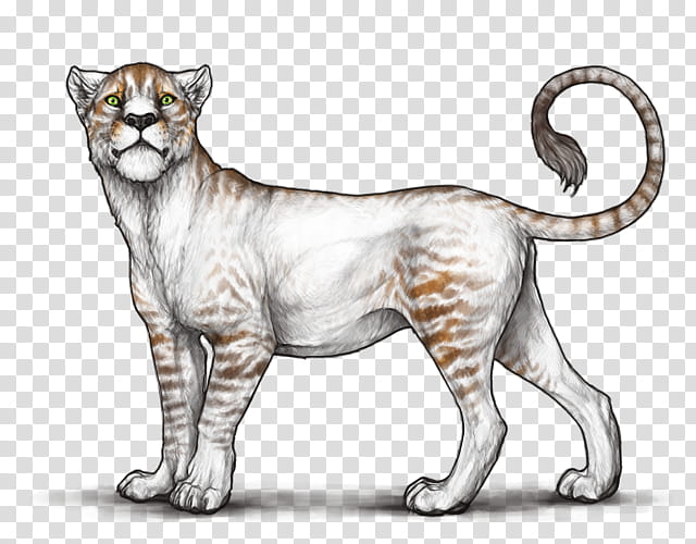 Cat, Lion, Liger, Jaguar, Whiskers, Tiger, Hybrid, Cheetah transparent background PNG clipart