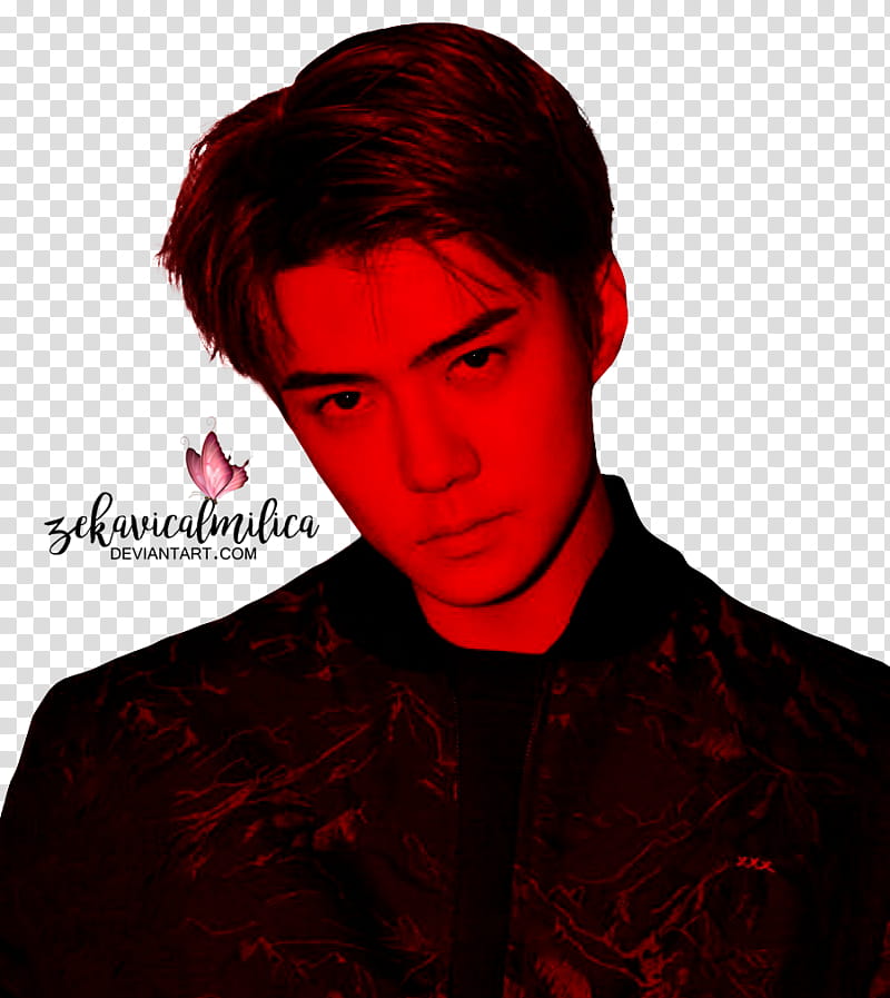 EXO Sehun ARENA HOMME transparent background PNG clipart