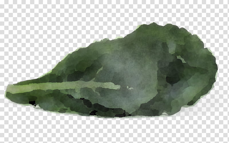 green leaf mineral jade rock, Plant, Leaf Vegetable transparent background PNG clipart