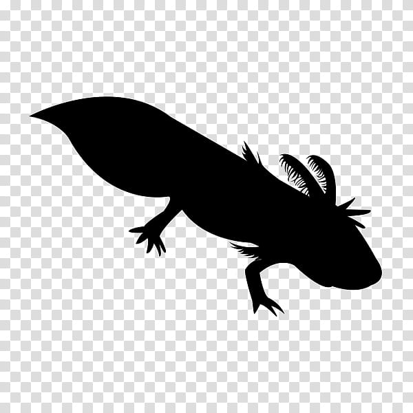 Mole, Axolotl, Lake Xochimilco, Amphibians, Rubber Stamping, Newt, Aquarium, Breed transparent background PNG clipart