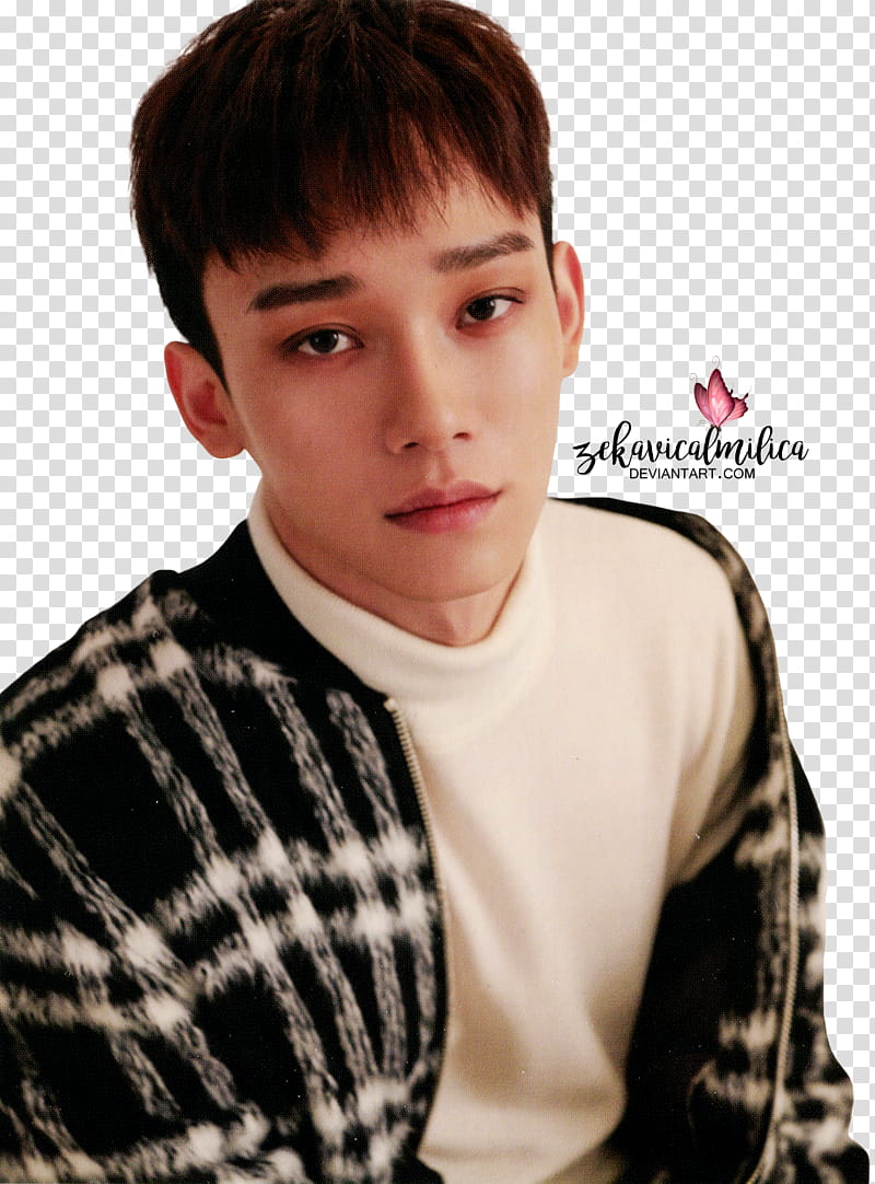 EXO Chen For Life transparent background PNG clipart