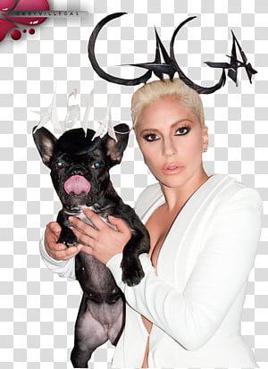 Lady Gaga transparent background PNG clipart thumbnail