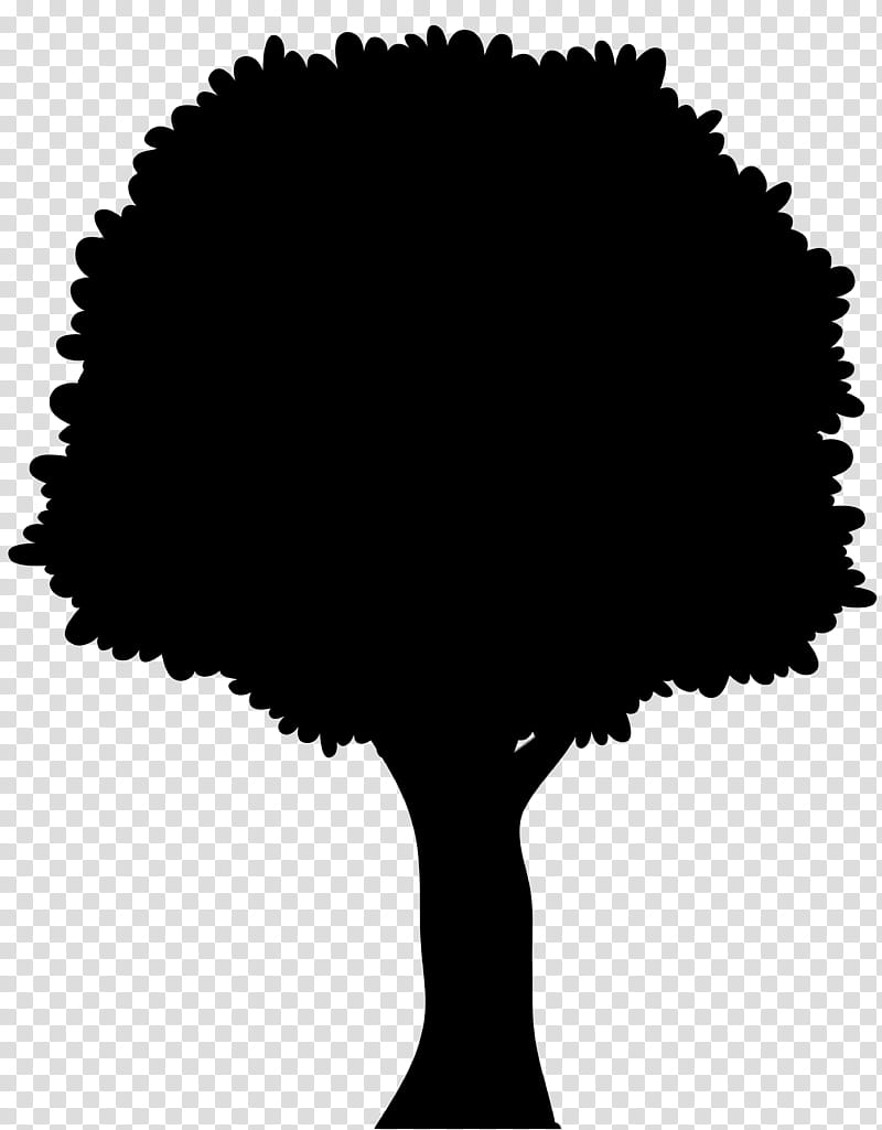 Tree Branch Silhouette, Fortunes Spindle, Woody Plant, Shrub transparent background PNG clipart