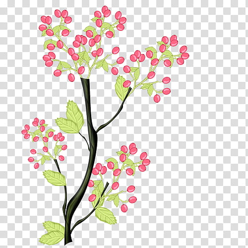 Resources , BVS naturepower berry icon transparent background PNG clipart