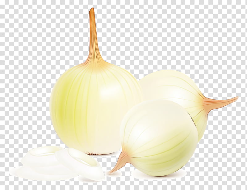 Onion, Vegetable, Garlic, Yellow Onion, Fruit, Cartoon, Still Life , Plant transparent background PNG clipart