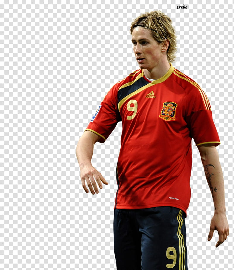 Fernando Torres transparent background PNG clipart