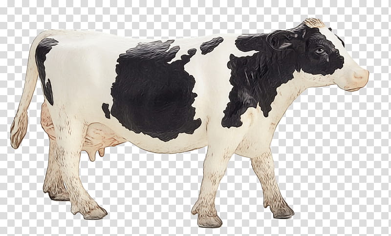 Cow, Watercolor, Paint, Wet Ink, Holstein Friesian Cattle, Simmental Cattle, Dairy Cattle, Hereford Cattle transparent background PNG clipart