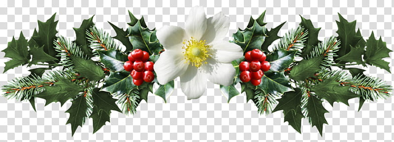 CHRISTMAS MEGA, white flower and red mistletoe illustration transparent background PNG clipart