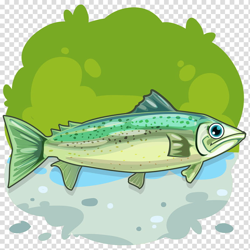 Rainbow, Smelt, Sardine, Fish, Rainbow Trout, Fresh Water, Salmon, Seawater transparent background PNG clipart