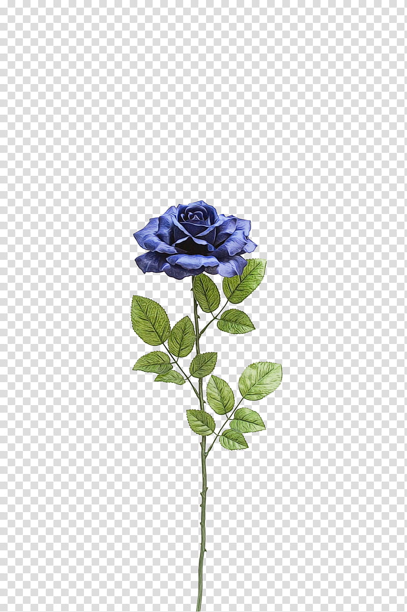 Blue rose, Watercolor, Paint, Wet Ink, Flower, Plant, Rose Family, Violet transparent background PNG clipart