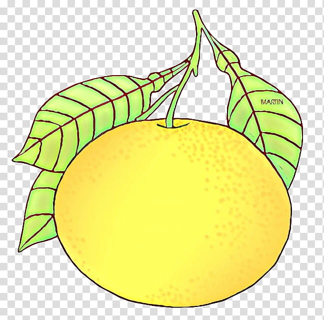 citrus leaf fruit lemon yellow, Plant, Tree, Grapefruit, Pomelo transparent background PNG clipart