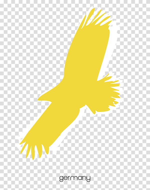 Eagle Logo, Beak, Feather, Sky Limited, Bird, Yellow, Bird Of Prey, Wing transparent background PNG clipart