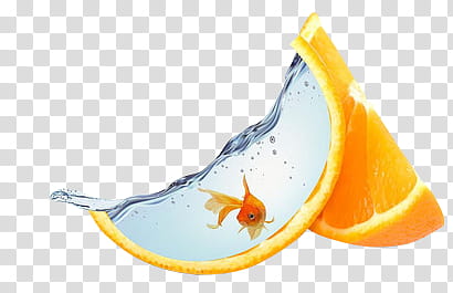 Quirky, gold fish and slice orange transparent background PNG clipart